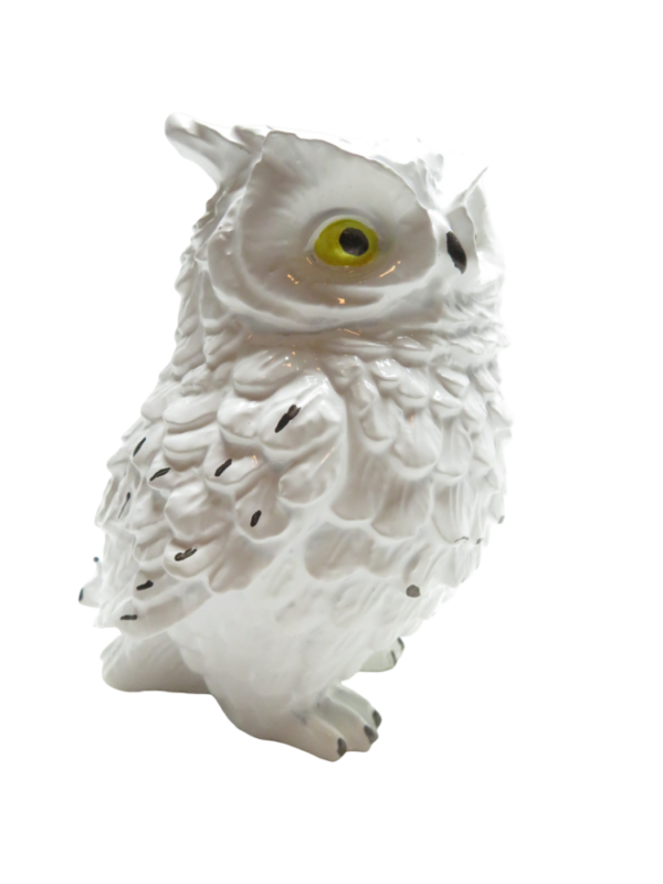 Orgoniet uil